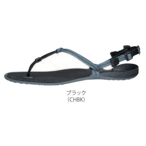 6月登山の日