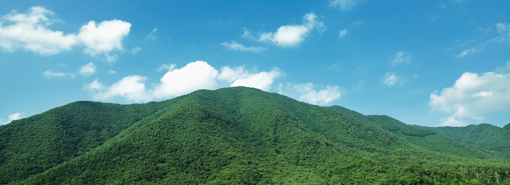 5月登山の日