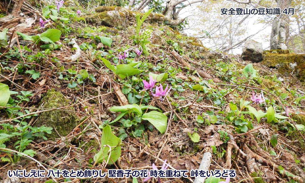 4月登山の日
