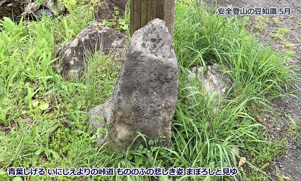 5月登山の日