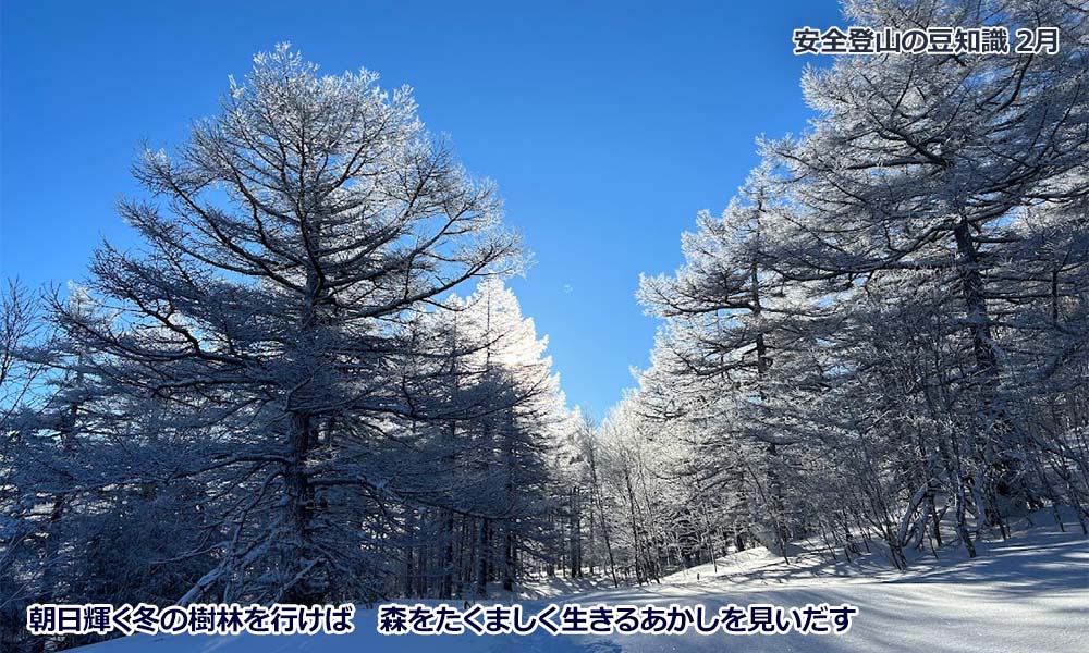 2月登山の日