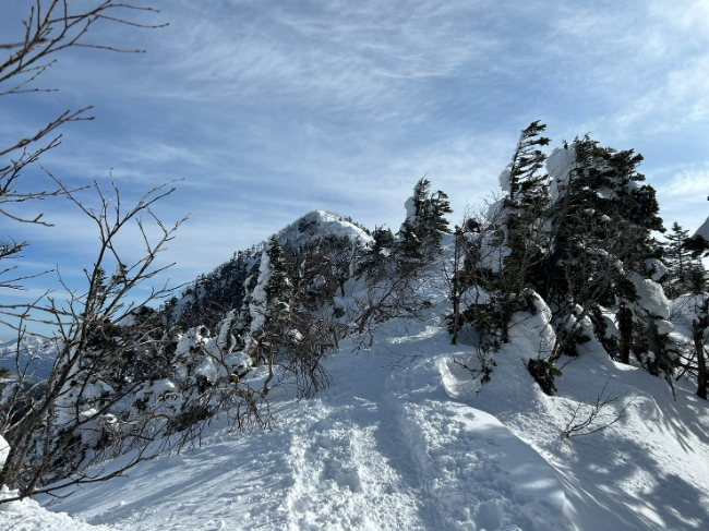 12月登山の日