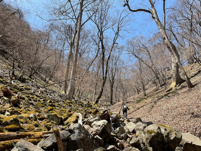 4月登山の日