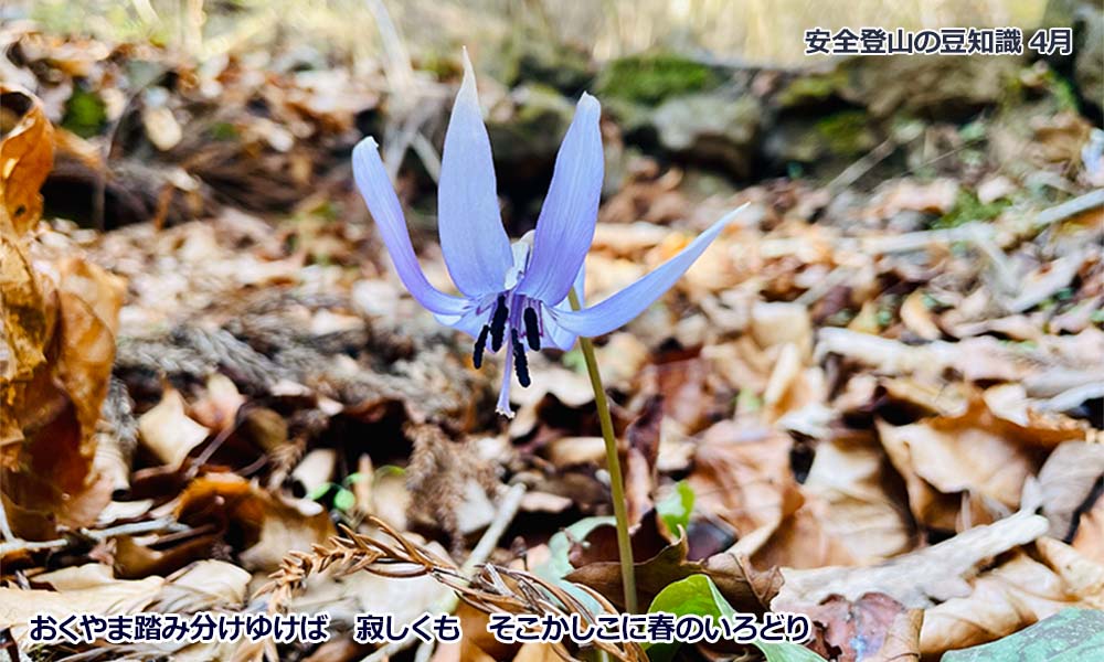 4月登山の日