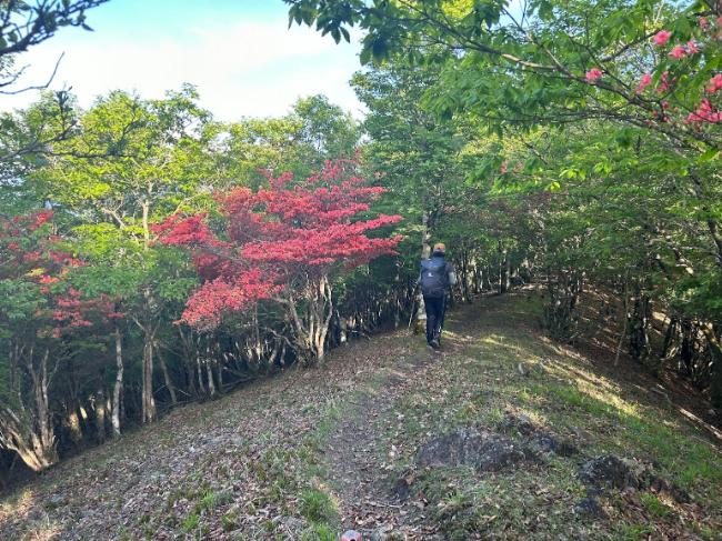 6月登山の日