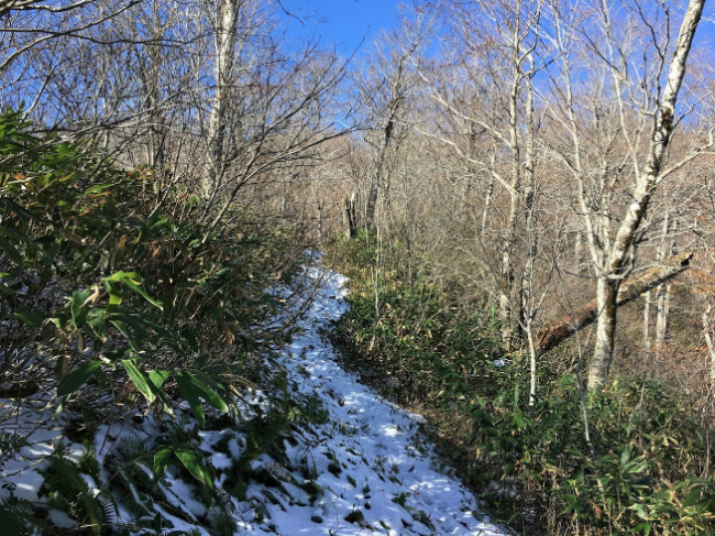 11月登山の日