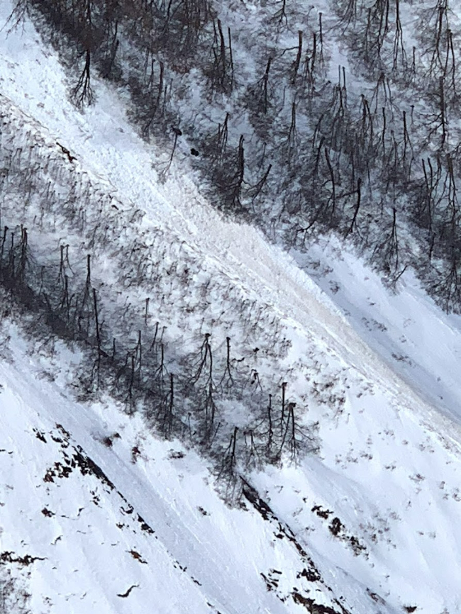 12月登山の日
