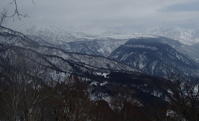 1月登山の日
