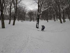 IMGP5156