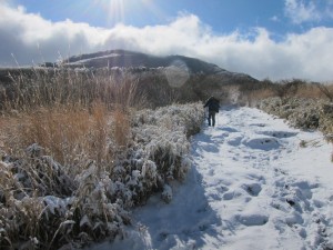 IMG_0950