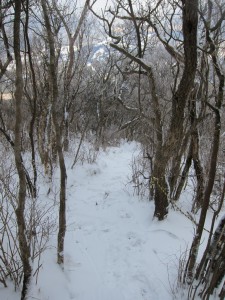 IMG_0972