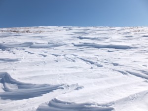 DSCF2297