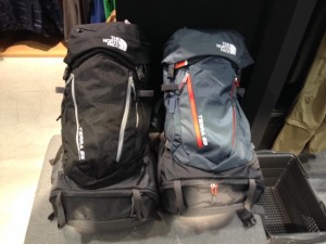 TNF4