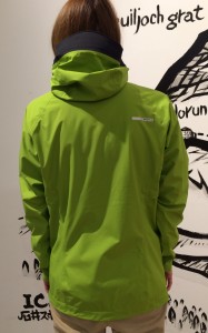 背中