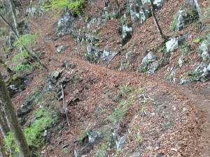 IMG_3835