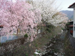 PHOTO018