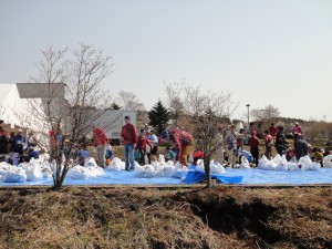 PHOTO044
