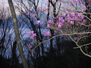 PHOTO069