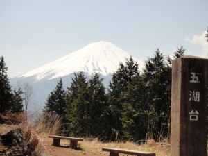 PHOTO081