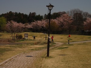 PHOTO090