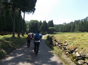 DSCF0354