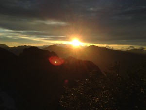 IMG_4354