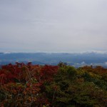 ちょっと紅葉