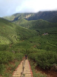 画像⑦