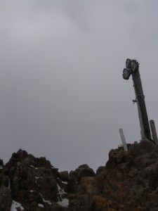 RIMG3117