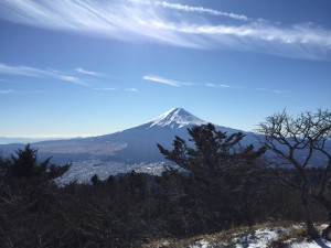 IMG_4713