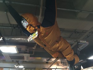 IMG_5234