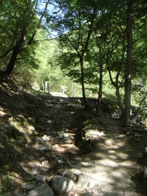 RIMG3672