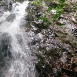 DSC_1801