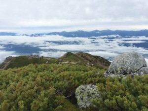 IMG_2902