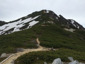 IMG_2907