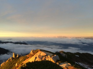 IMG_2939