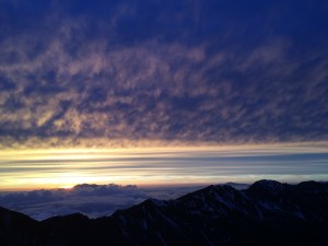 IMG_2944