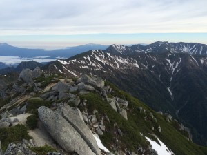 IMG_2961