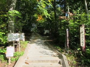 IMG_5853