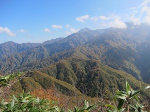 IMG_5892