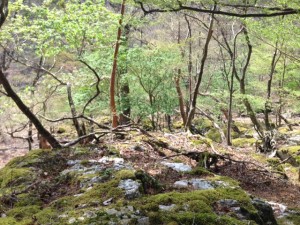 image5