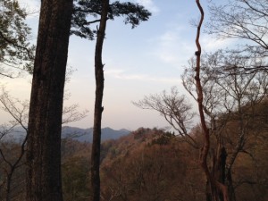 image8