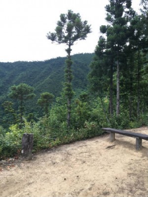 広場　903