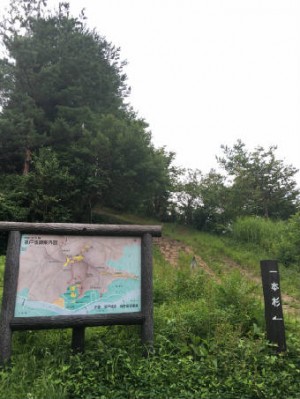 一本杉　 898