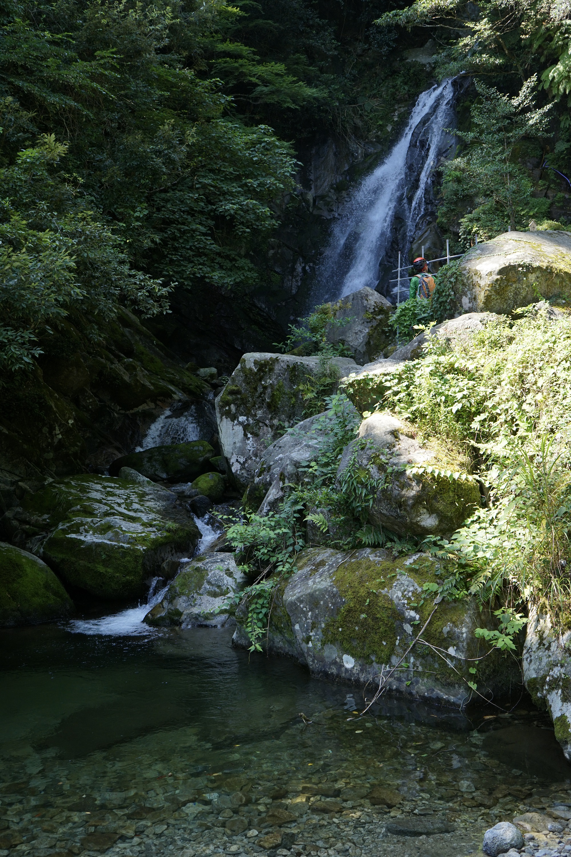 _DSC0550