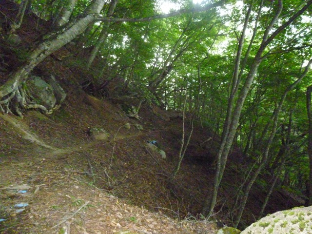 P1000827