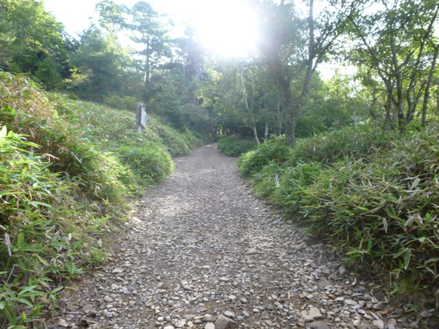 P1000840