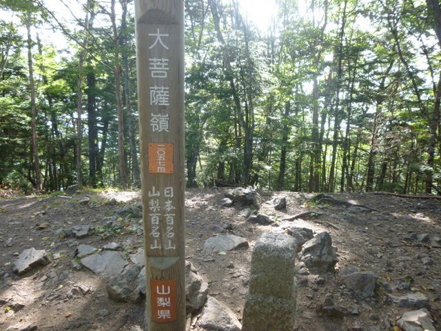 P1000863