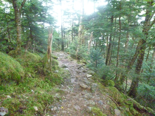 P1000867
