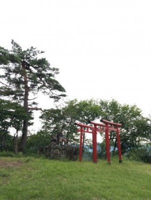 鳥居　 893